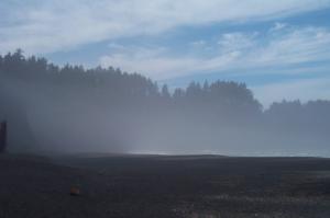 Fog on the beach image