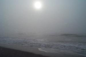 Fog along the coast image