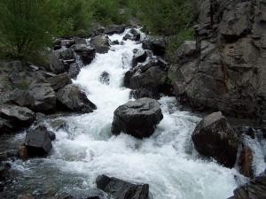 A mountain stream image