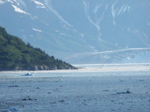 Bay near Hubbard glacier image