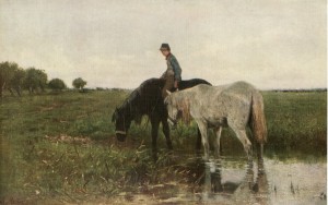 Watering Horses image