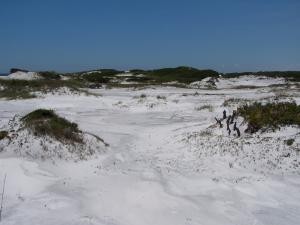 Sand dunes image
