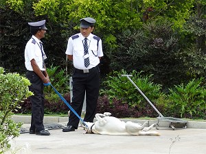 Hotel security guards and their dog image