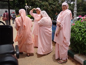 Nuns dressed in pink image