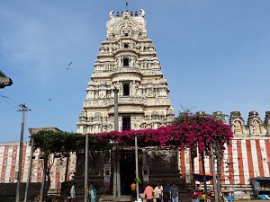 Sri Aprameya Swamy Temple image