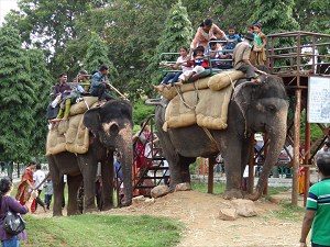 Elephant loading dock at Mysore palace image