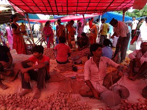 Selling vegetables under a red tarp image