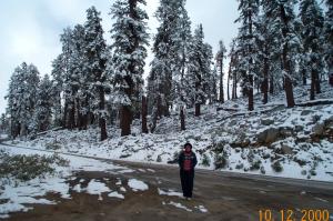 Leslie on the Tioga road image
