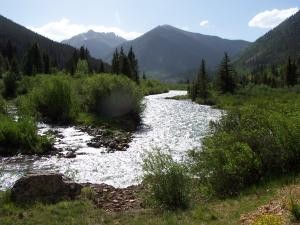 A mountain stream image