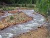 A mountain stream