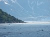 Bay near Hubbard glacier