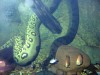 Anaconda under the water by Elton Smith