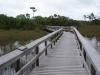 Bridge across a swamp