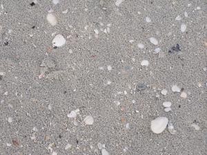 Sand on the beach image