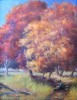 Autumn Colors by Vera Griffin