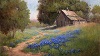 Bluebonnets and Barn by Vera Griffin