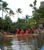 Canoes at Polynesian Cultural Center