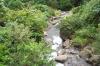 Iao Valley State Park