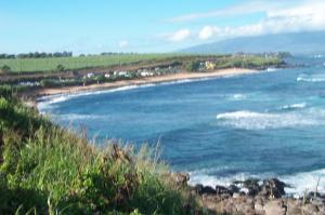 Ocean view on Maui image