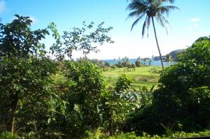 Scene on Maui image