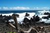 Lava rock on a black sand beach