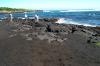 Black sand beach