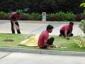 Hotel landscape maintenance crew image