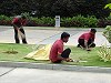 Hotel landscape maintenance crew