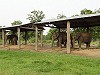 Elephant barn by Veronica Smith