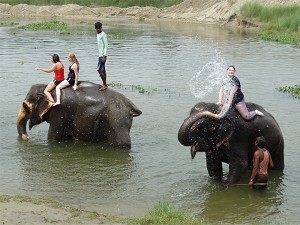 Getting sprayed by an elephant image