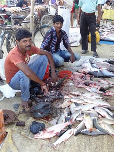Selling fish image