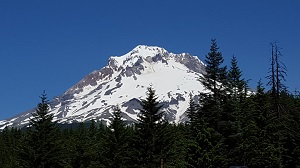 Mount Hood image
